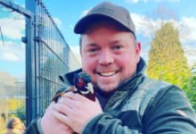 beet-brüder henrik getrennt